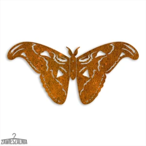 Zawieszalnia – 3D sienų dekoracija Drugelis Povas Atlasas L 50 cm Corten plienas