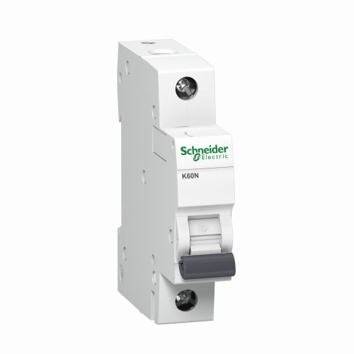 Schneider Electric Automatinis jungiklis C 20A 1P 6kA Acti9 GPV-401-189